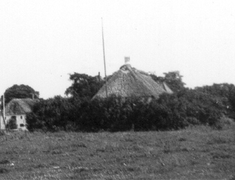  Foto Vinumvej 40. ca. 1950 fra Vinumvej 39 
